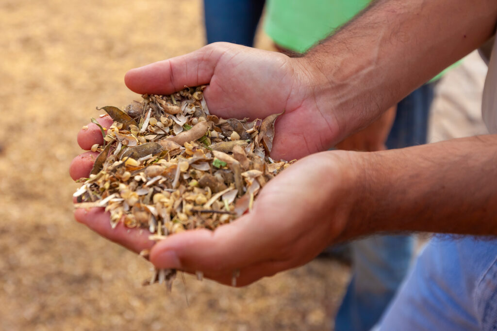 Macroelemente și microelemente în nutriția bovinelor
