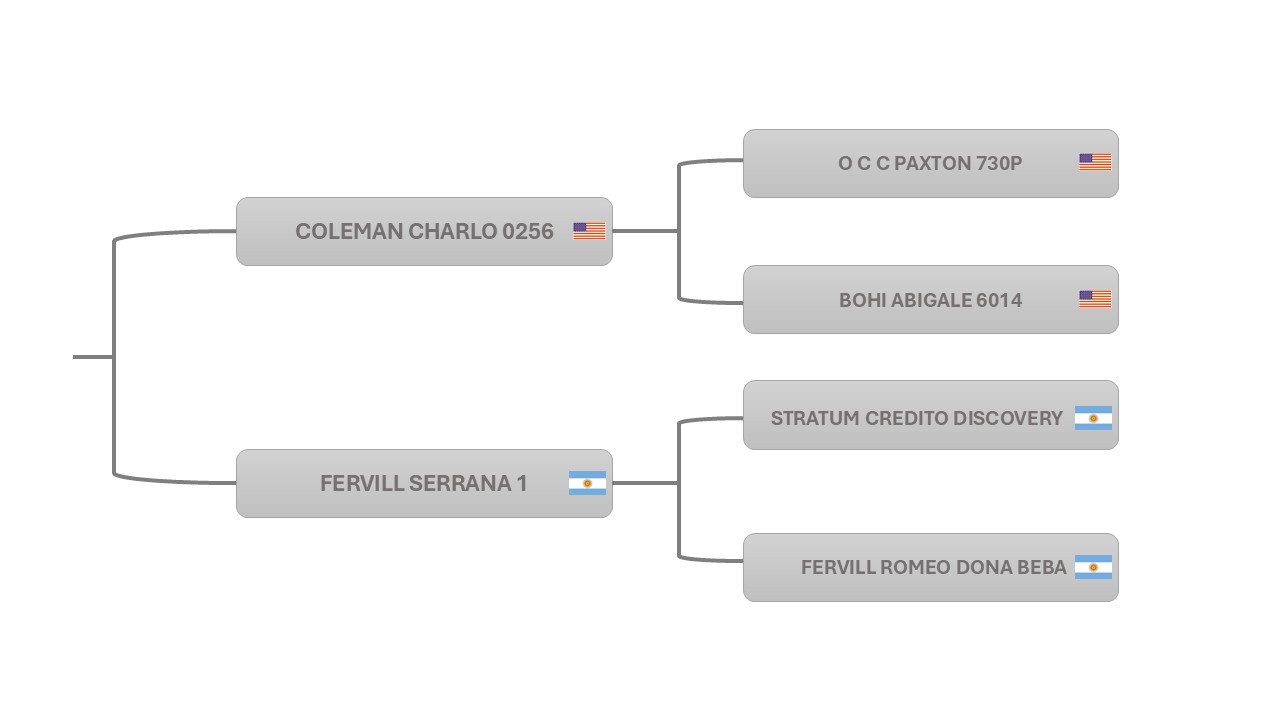 Pedigree ICF CHURRASCO ET R0279