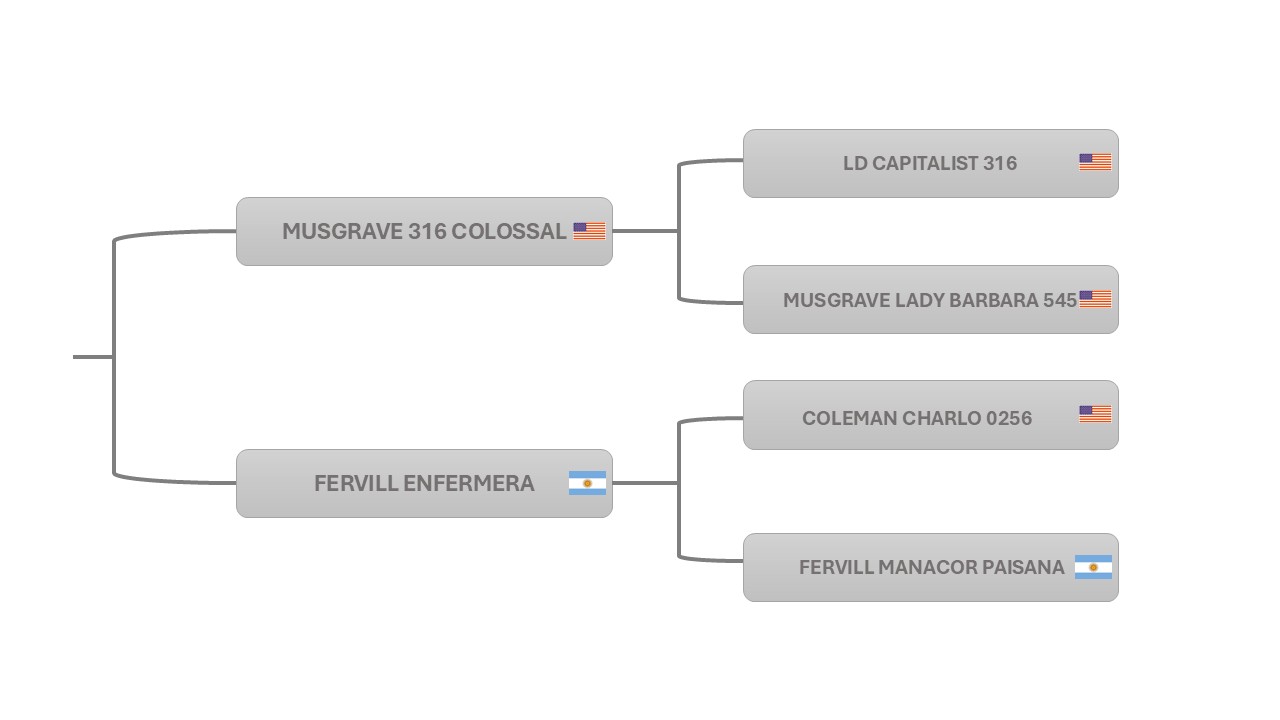 Pedigree ICF COLOSO R8551