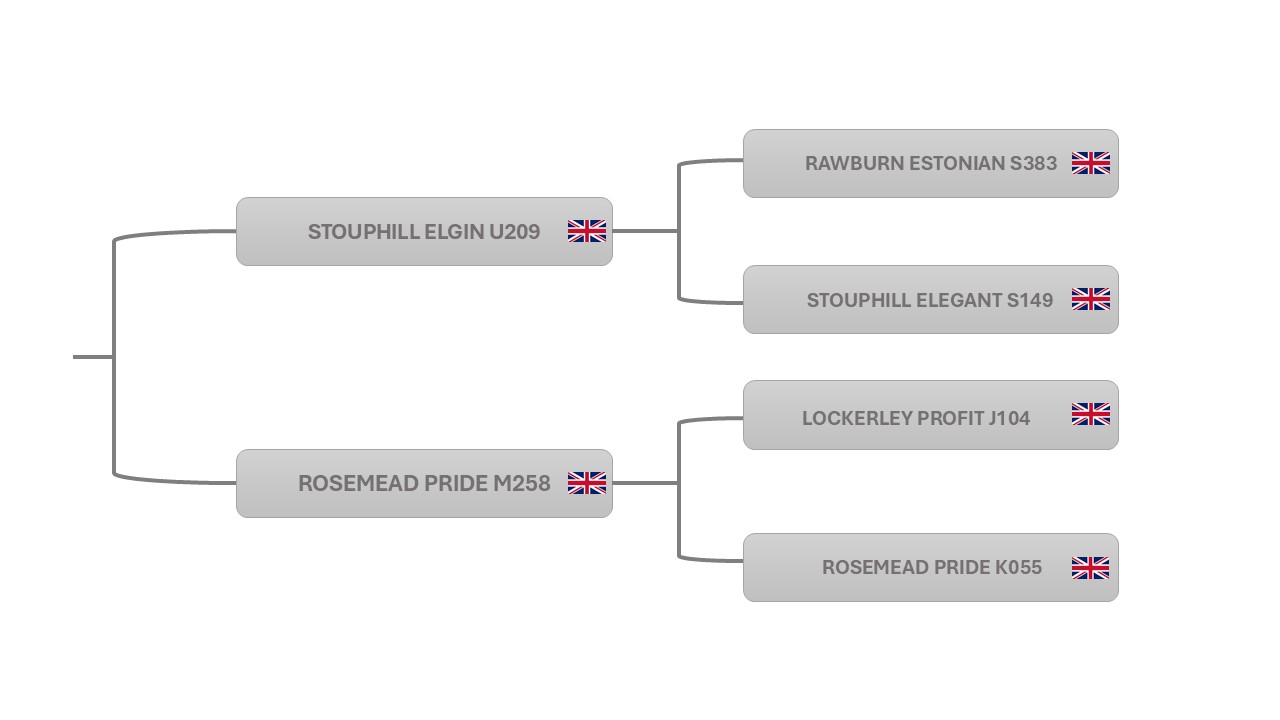Pedigree EDMONTON OF BEECHCREEK